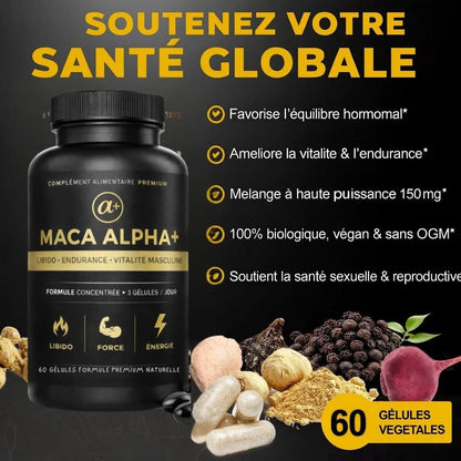 MACA ALPHA +