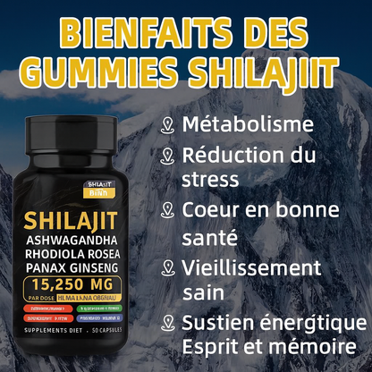 🔥 Shilajit Force+ – 8 en 1 - Ashwagandha & Ginseng pour personnes Actifs